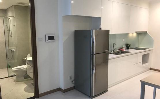 apartment for rent in binh thanh district BT105L539 (2)